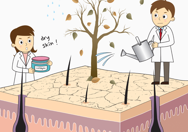 아름필피부과메디컬스킨케어